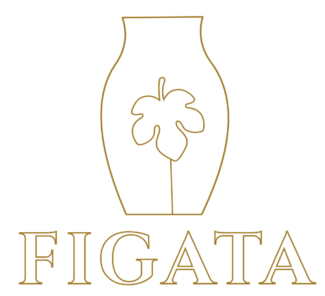 Barfigata